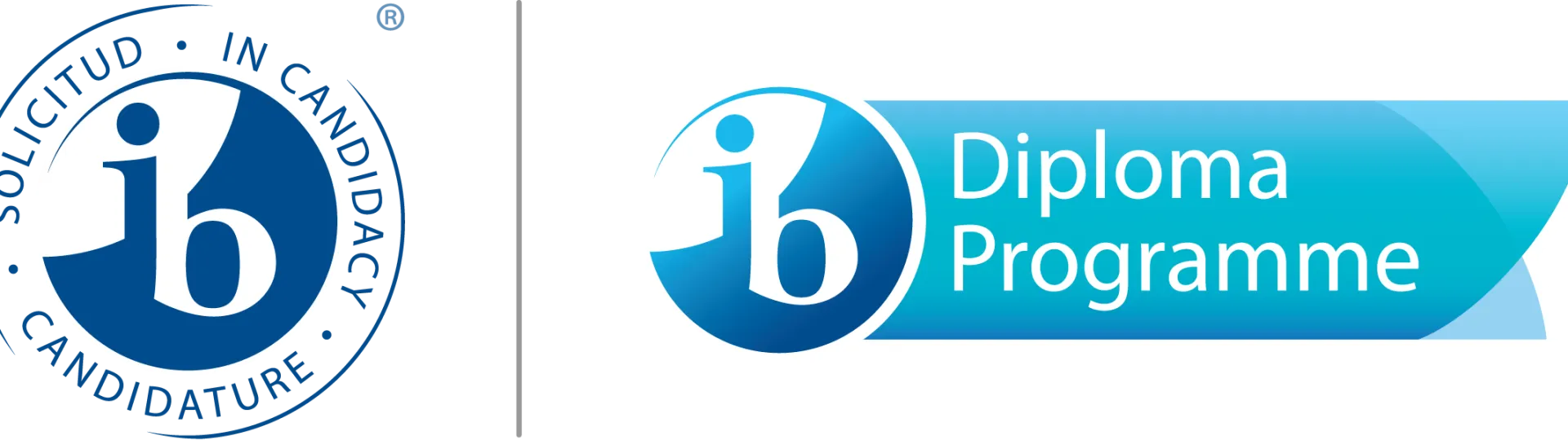 IB DP logo